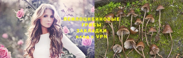 дурь Горняк