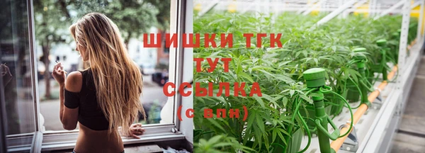 дурь Горняк
