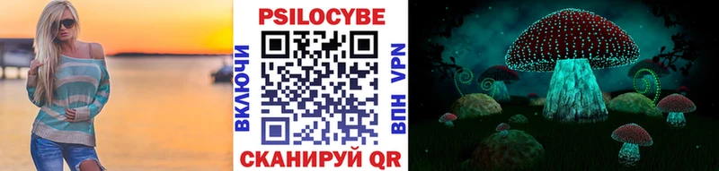 Купить где  Балей  Псилоцибиновые грибы мухоморы 